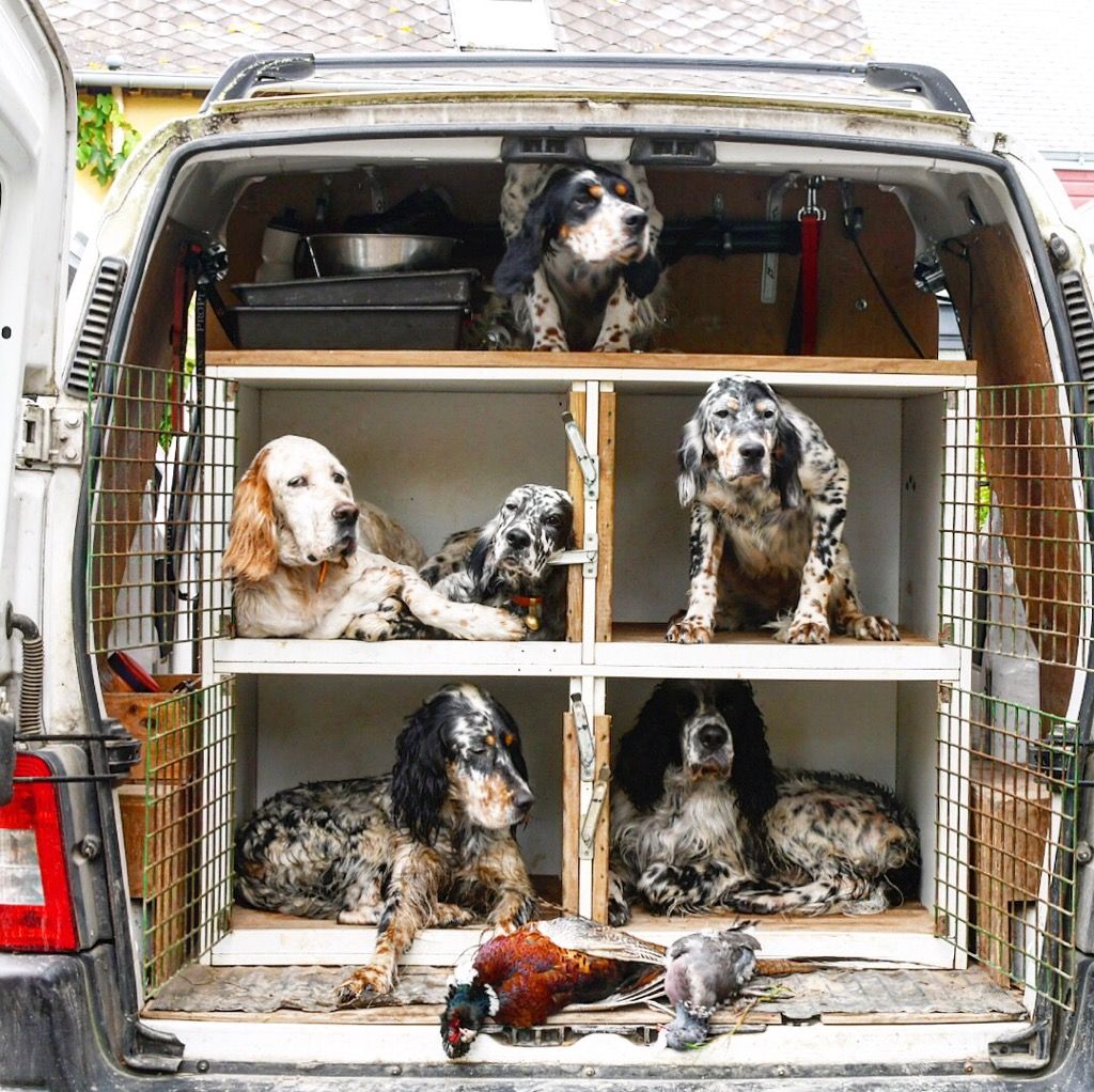 Des Miroirs De Haute Sève - Les jeunes des Miroirs de haute Sève à la chasse