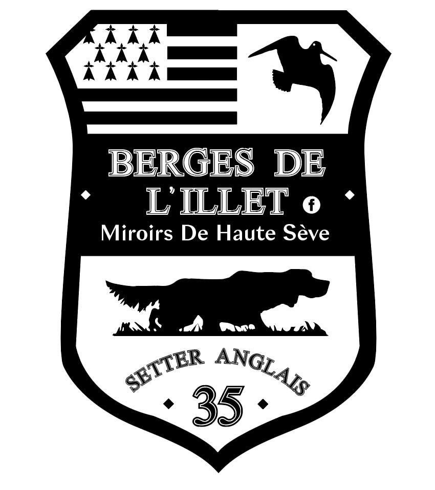 Des Miroirs De Haute Sève - Team Setter Anglais BI/MHS sur Instagram