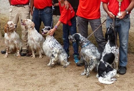 Des Miroirs De Haute Sève - Laïda des Miroirs de haute Sève : vice vainqueur par équipe CFN 2017