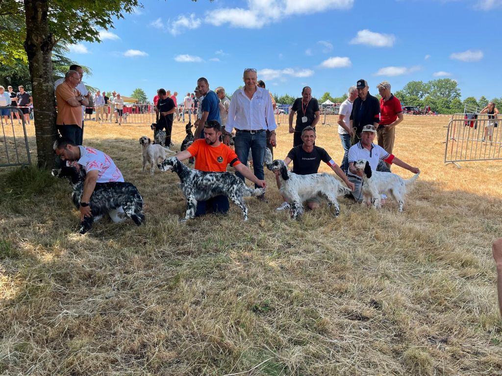 Régionale d'Élevage Bretonne Mauron (56) 29.06.2025